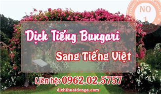 Dịch Tiếng Bungari Sang Tiếng Việt